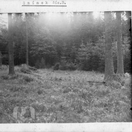 Fotografické snímky ku vraždě spáchané v lese Varta 1. 10. 1933